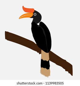 Hornbill vector in eps format 10