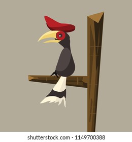 hornbill vector illustration 