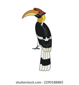 Hornbill. Vector illustration isolated on white background.