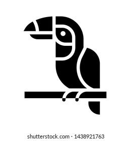 Hornbill vector, tropical related solid design icon