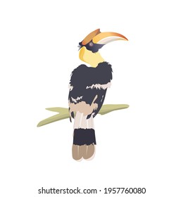 The hornbills are a family of bird found in tropical and subtropical Africa, Asia and Melanesia.