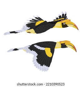 Hornbills fliegen. Tropischer Vogel großer indischer Hornvogel. Realistische Vektorwildvögel in Indien und Südostasien