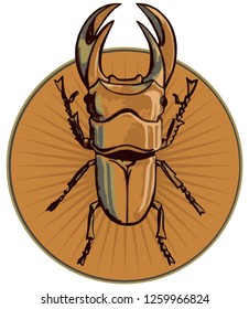horned beetle on a brown background
