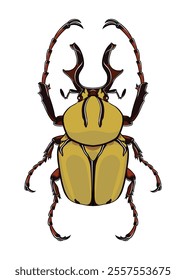 Horned Beetle top view detailed vector with staggering horn shape and unique body colour