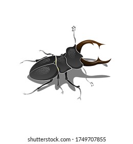 Horned black beetle. Vector illustration