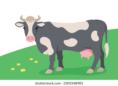 Horned black and white cow standing on the green grass. Domestic farm animal grazing on a spring pasture. Flat cartoon illustration of cattle