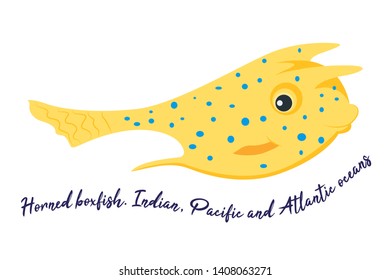 Horned boxfish. Card with explanation. Dangerous fish of seas and oceans. Vector