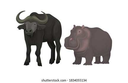 Horned Buffalo and Hippo as African Animal Vector Set