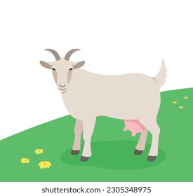 Horned female goat standing on the green grass. Domestic farm animal grazing on a spring pasture. Flat cartoon illustration. Spring meadow background