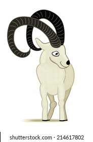 Horned goat on a white background