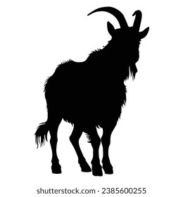 Horned Goat Standing Silhouette on White Background.