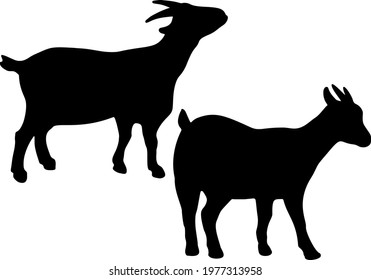 Horned goats in the set. Vector image. 