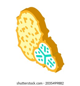 horned melon fruit isometric icon vector. horned melon fruit sign. isolated symbol illustration