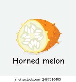 Horned Melon Vector Illustration: Exotic Spiky Orange Fruit