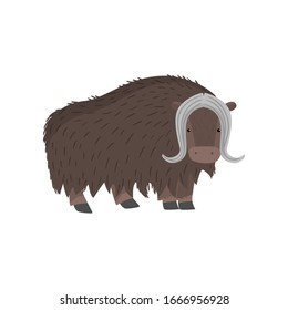 Horned nutmeg bull or ox standing at white background looking at viewer