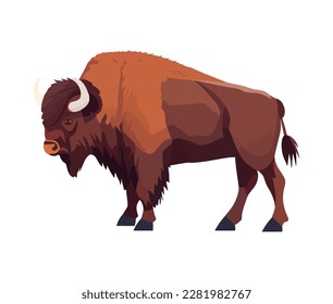 Horned ox grazing on white background isolated