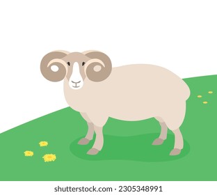 Horned ram standing on the green grass. Domestic farm animal grazing on spring pasture. Flat cartoon illustration.