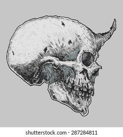 Horned Skull