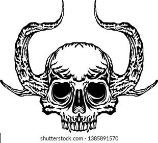 Horned skull vector illustrationskull on white background