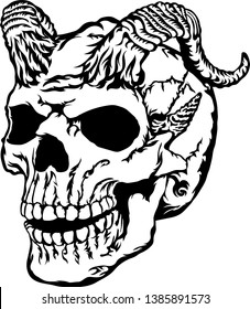 Horned skull vector illustrationskull on white background