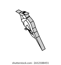 horned sungem bird exotic isometric icon vector. horned sungem bird exotic sign. isolated symbol illustration