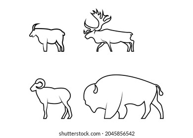 Horned wildlife animals vector illustration on a white background