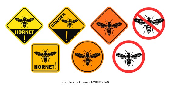 Hornet danger sign. Isolated hornet on white background. Wasp