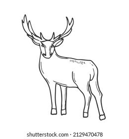 Hornet deer. Lineart doodle. Woodland concept Isolated