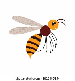 Hornet insect. Vector illustration Isolated on white background.