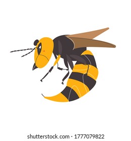 Hornet on a white background. Wasp illustration. Bee vector