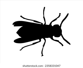 Hornet silhouette vector art white background