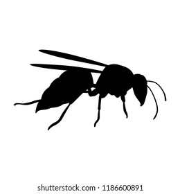 Hornet silhouette vector. Insect in black and white concept.