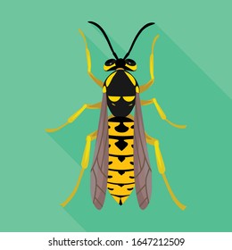 Hornet vector icon.Flat vector icon isolated on white background hornet.