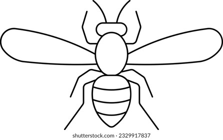 hornet wasp bee bug honey Outline