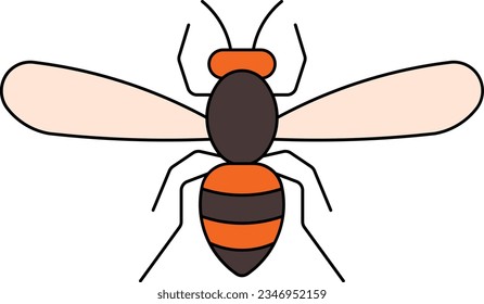 hornet wasp bee bug honey Outline