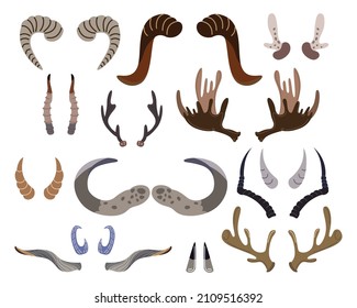 Horns and antlers of different shapes vector illustrations set. Horns of wild animals as trophies: ram, stag, reindeer, moose, cow, deer isolated on white background. Wildlife, hunting concept
