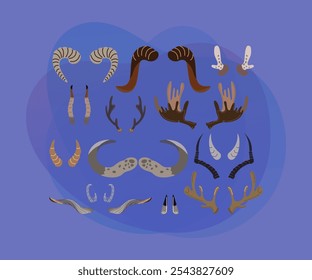 Cuernos y astas de diferentes Formas Ilustraciones vectoriales conjunto. Cuernos de animales salvajes como trofeos: carnero, ciervo, reno, alce, vaca, ciervo aislados sobre fondo blanco. Vida silvestre, concepto de caza