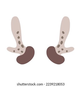 Horns and antlers vector illustration. Horns of wild young deer as trophies isolated on white background. Wildlife, hunting concept