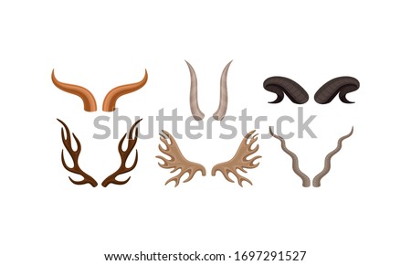 Horns of Different Animals with Ram and Deer Antlers Vector Set