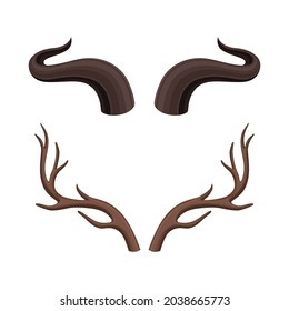 Horns of different animals set. Buffalo and antlers vector illustration