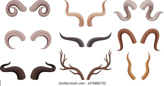 Horns of different animals. Vector illustration on white background.