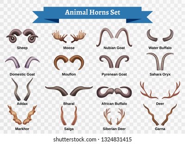 Horns horizontal transparent set with doodle style isolated images of animal horning with editable text captions vector illustration