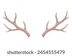 Horns. Hunting trophy. Vector horned wild animal. Pairs of antlers. Vector illustration of hunted animal, wildlife decoration concept