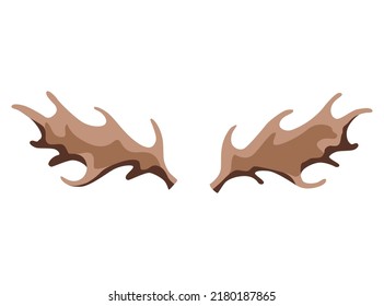 Horns. Hunting trophy. Vector horned wild animal. Pairs of antlers. Vector illustration of hunted animal, wildlife decoration concept