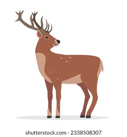 Horny Deer icon. True Deer, Red Deer, Fallow Deer. Wild forest animal of Europe, America and Scandinavia with big horns. Flat vector illustration isolated on white background.