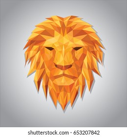 Horoscope Leo, Orange Leo on lighting background,Horoscope Leo,Leo vector illustration