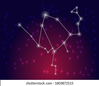 Horoscope sign, graphic. Astrology. Zodiac signs and symbols
