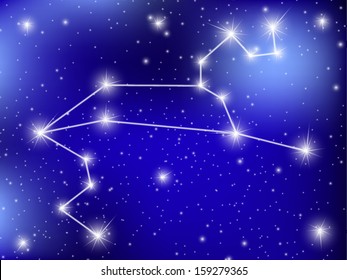 horoscope zodiac sign of the leo on the astrological space background. eps10 vector illustration 