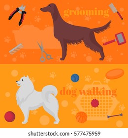 Horozontal banner, dog design elements, Irish setter and samoyed in flat style. Grooming, walking and training items vector illustration
