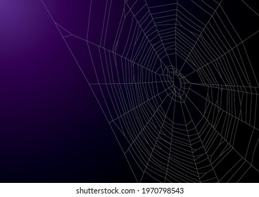 A horror and dark image of a spider web